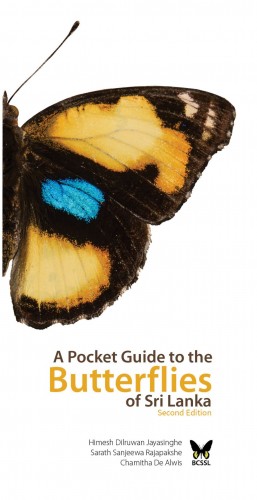 7 – 1 A Pocket Guide to the Butterflies of Sri Lanka – 2nd Edition